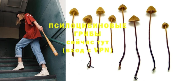 скорость Алзамай