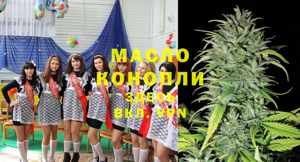 ешки Алексин