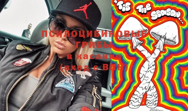 прущие грибы Абдулино